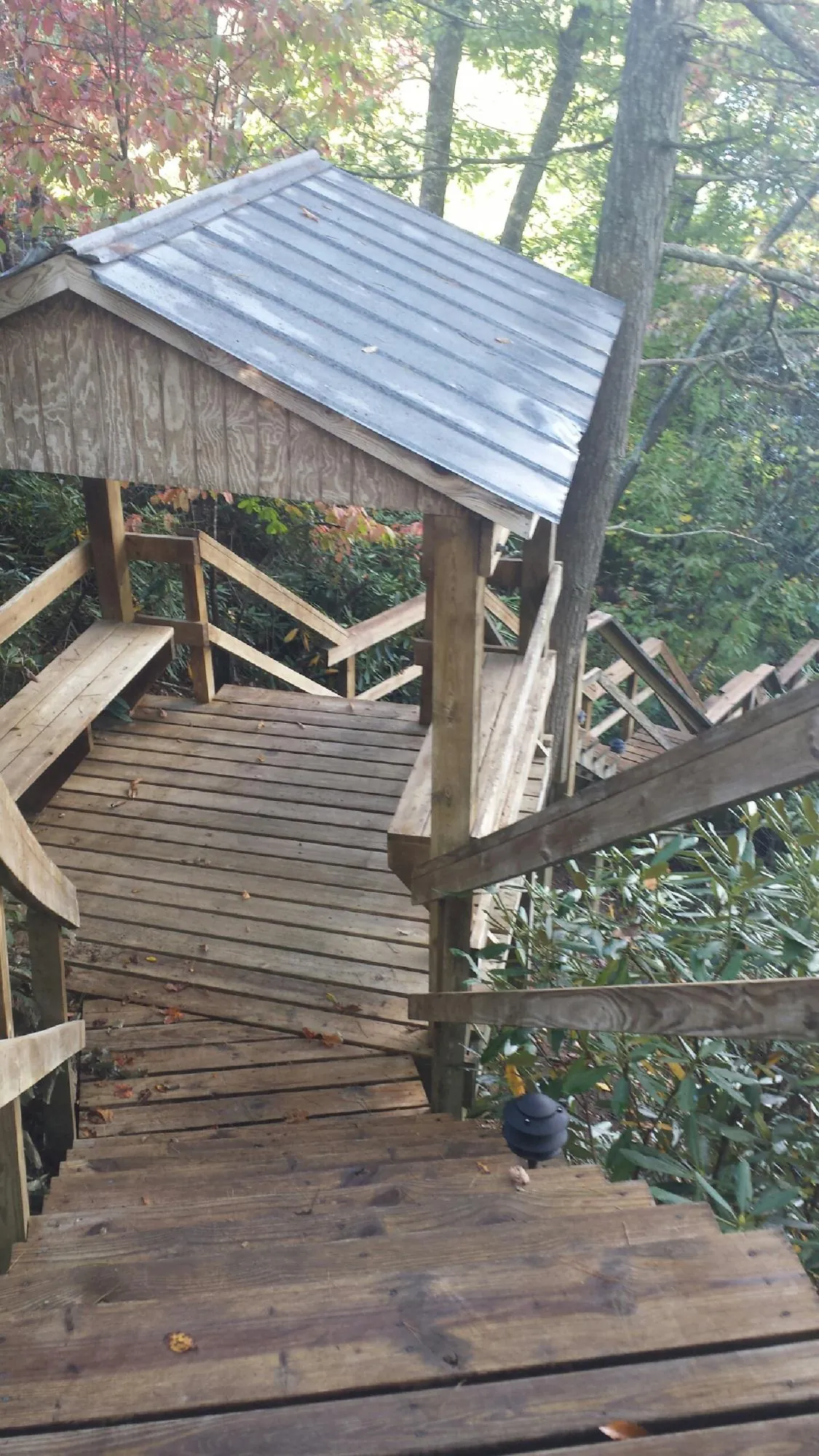 Metal roofed shelter over wooden steps on a wooded walkway — Skylight Repair & Installation work by our crew in Granite Falls